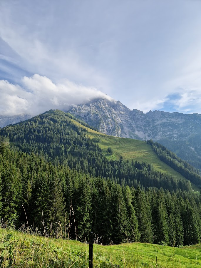 afbeeldingen servais